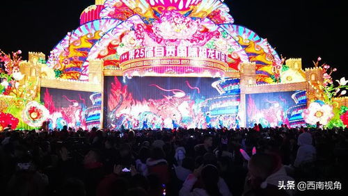 自贡灯会璀璨开幕 科技与艺术共舞，点亮文化新篇章